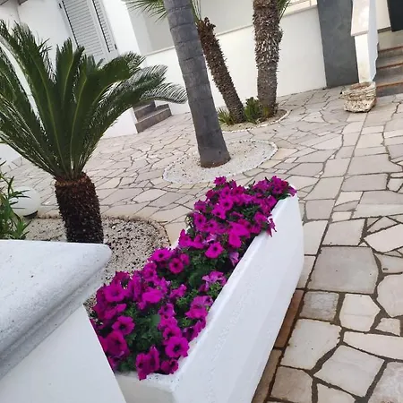 Kale ' 4* Porto Cesareo